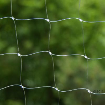 Filet de protection transparent pour chat