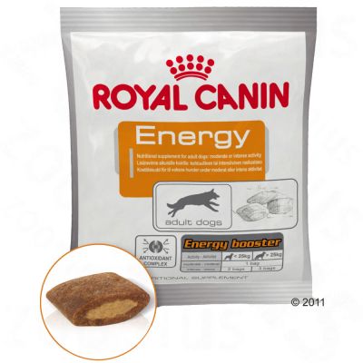 Friandise Energy de Royal Canin
