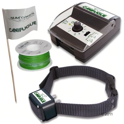Clôture anti-fugue Canifugue avec fil pour chien