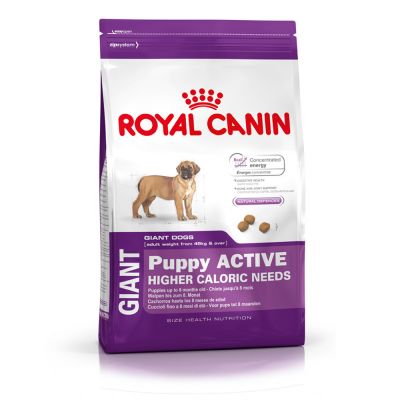 Giant Puppy Active