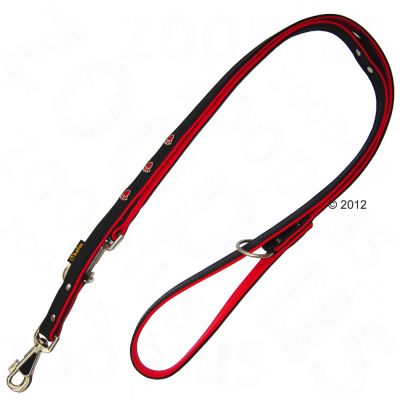 Laisse motif pattes pour chien