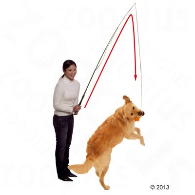 Canne à pêche d'entraînement Dog Dangler