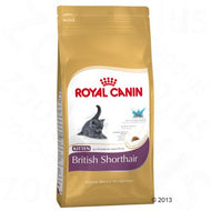 Breed Nutrition Kitten British Shorthair