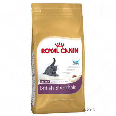 Croquettes chat Royal Canin Kitten British Shorthair
