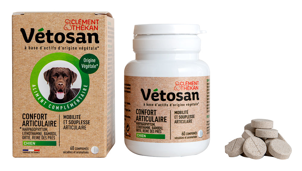 Vétosan Confort articulaire pour Chien – comprimés