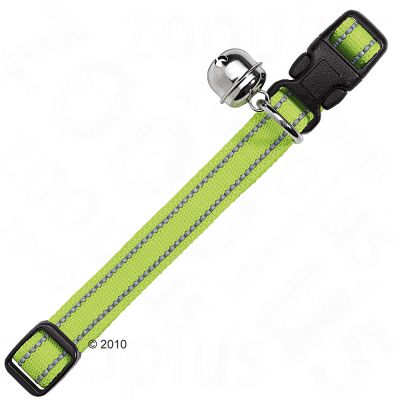 Collier Flashlight pour chat