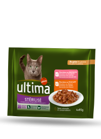 Chats Stérilisés