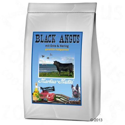 Black Angus Adult