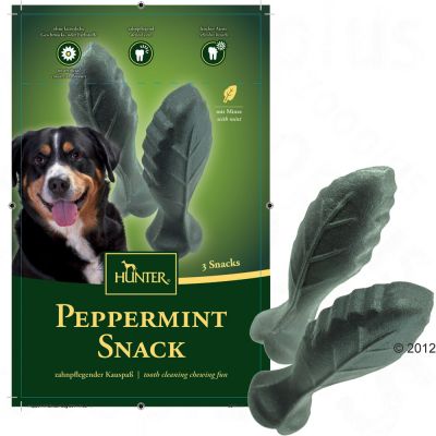 Friandises chien Peppermint de Hunter