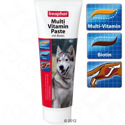 Pâte multivitamines et biotine Beaphar pour chien