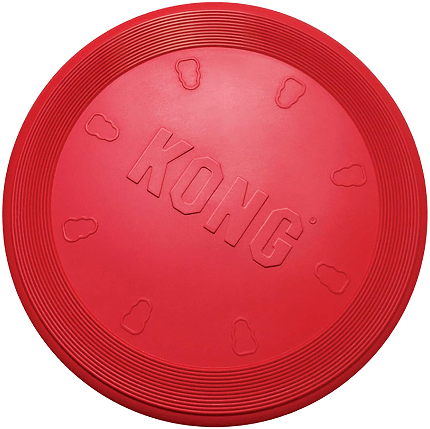 Frisbee Flyer