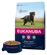 Coquettes Eukanuba Chien Adulte Grande Race Riche en Poulet Frais