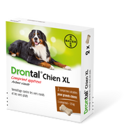 Drontal® Chien XL