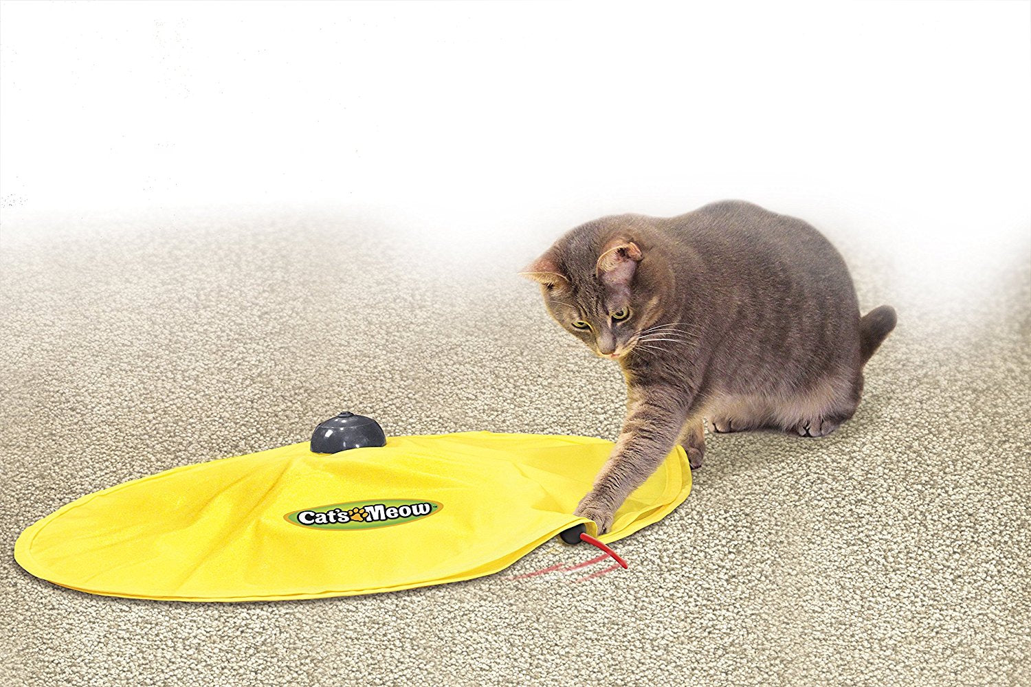 Jeu tapis de souris pour chat de Cat's Miaou
