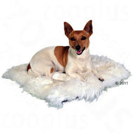 Coussin en peau de mouton pour chien