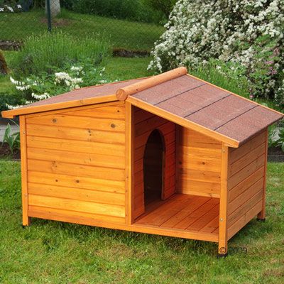 Niche Spike Spécial pour chien