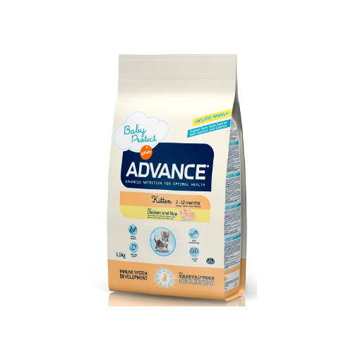 Advance Kitten