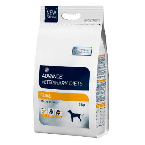 Advance Renal Failure Canine