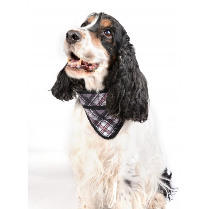 Bandana rafraîchissant gris