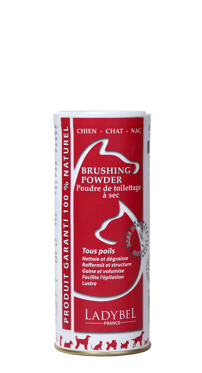 Brushing powder