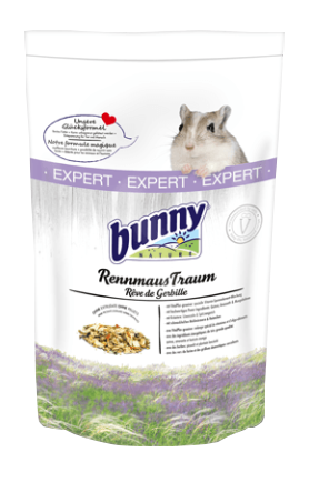 Rêve Expert pour gerbille