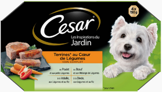 LES INSPIRATIONS DU JARDIN - AU COEUR DE LEGUMES de Cesar