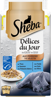 Délices du Jour en Gelée au poisson de Sheba