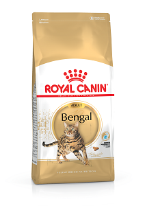 Croquettes chat Royal Canin Breed Bengal