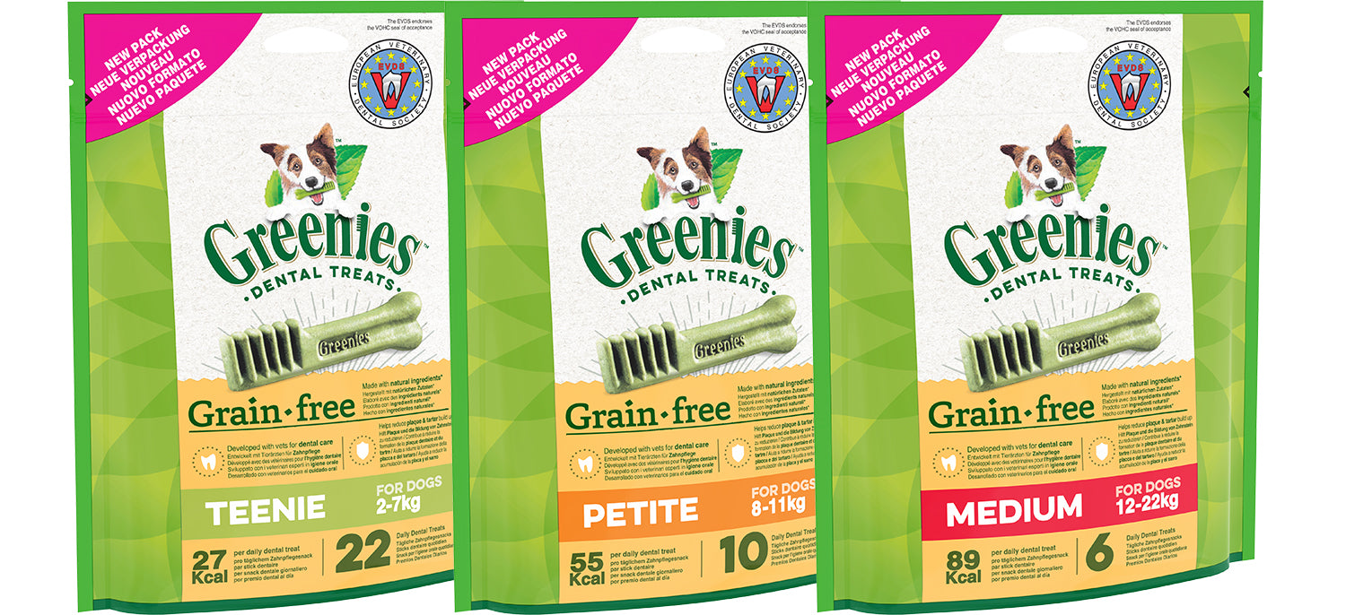 Stick dentaire GREENIES™ SANS CÉRÉALES