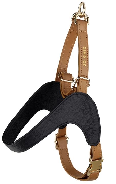 Harnais pour chien