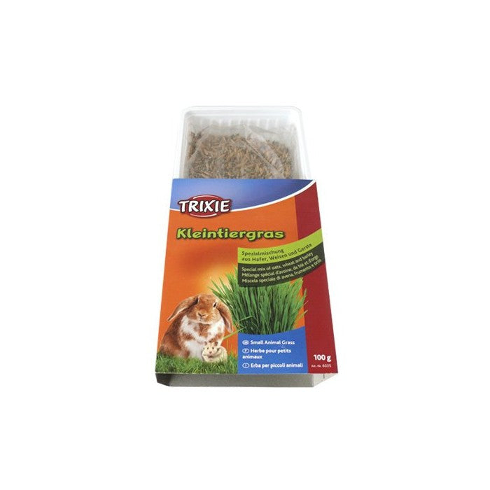 Herbe à faire pousser