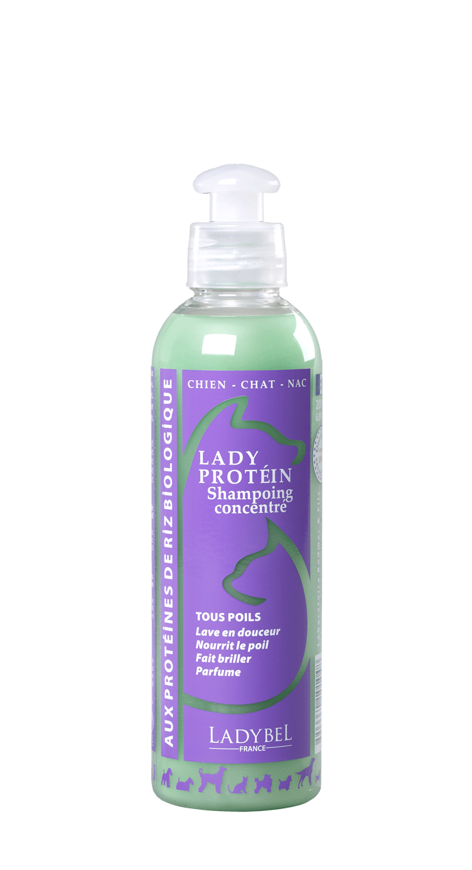 Shampoing Lady protein de Ladybel