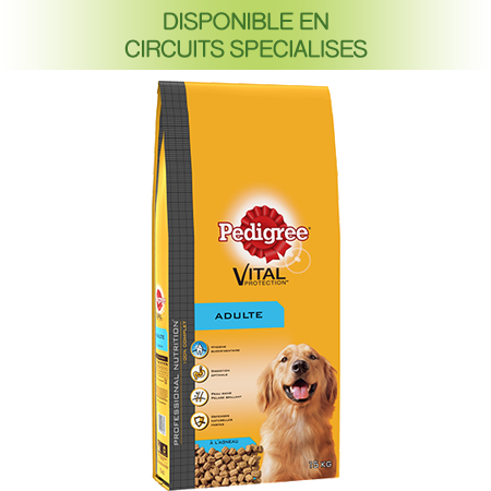 Croquettes Vital à l'agneau pour chien adulte