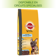 Croquette chien Pedigree vital junior grand chien