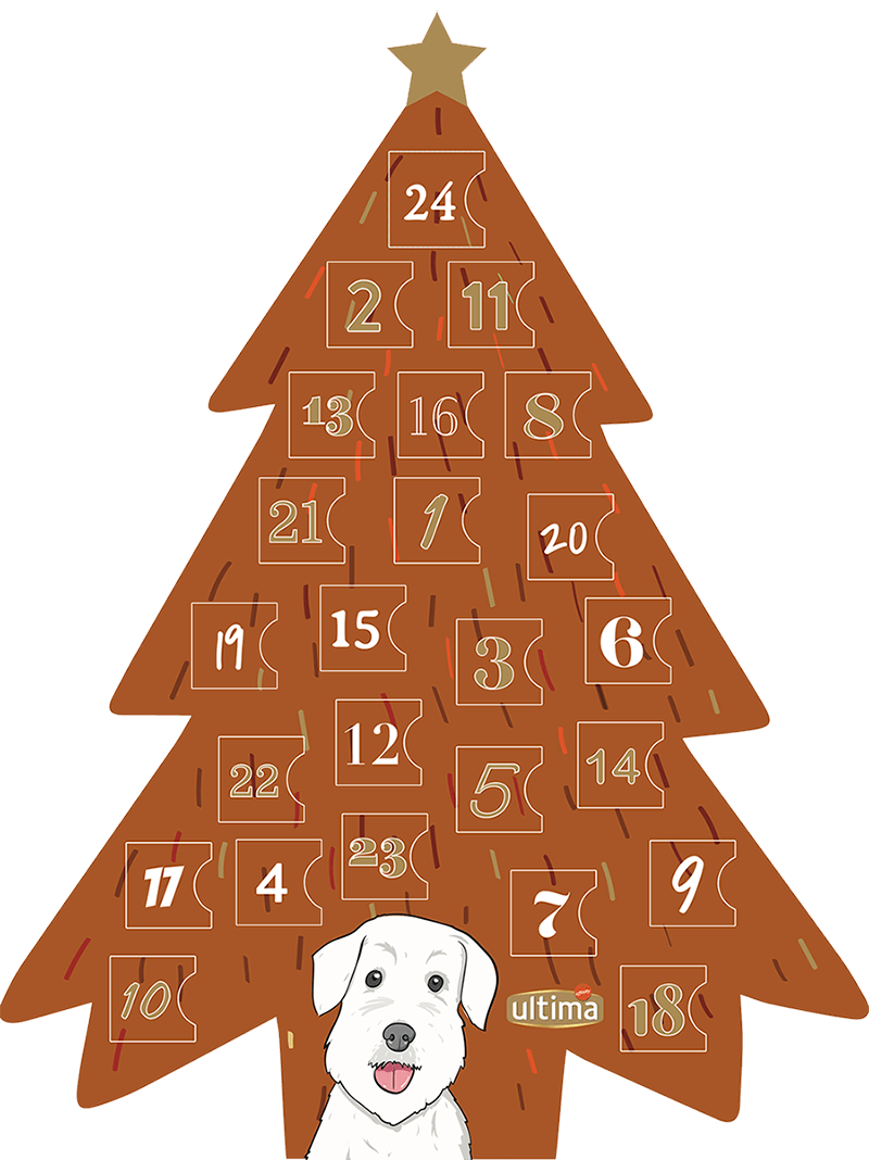 Calendrier de l'Avent pour chien