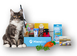 Coffret cadeau Miaoubox Label Box