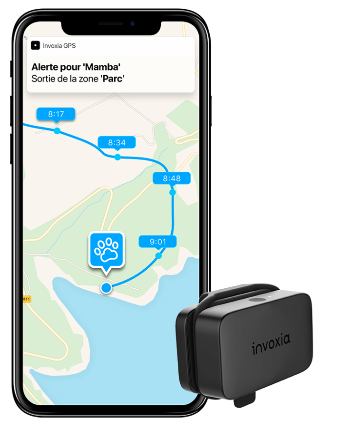 Invoxia GPS Tracker Default Title avis, test, prix Conso Animo