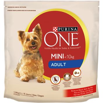 One Mini Adult