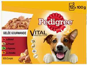 Sachets Fraîcheur en gelée