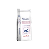 Croquette chien Pediatric Starter Digest & Defences 30 de Royal Canin