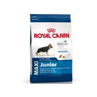 Croquette chien Maxi Junior de Royal Canin