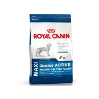 Croquette chien Maxi Junior Active de Royal Canin