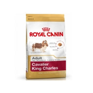 Breed nutrition Cavalier King Charles 27