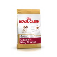 Breed Nutrition Cavalier King Charles Junior