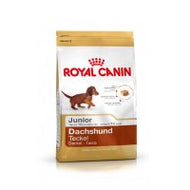 Croquette chien Teckel Junior de Royal Canin