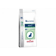 Croquette chien Neutered Adult Small Dog de Royal Canin