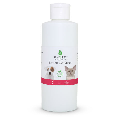 Lotion Oculaire