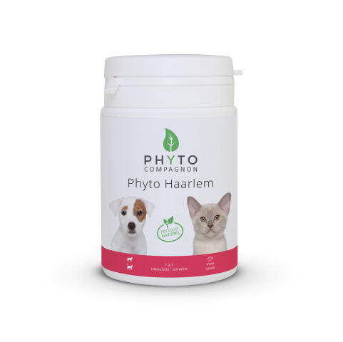 Phyto Haarlem de Phyto Compagnon