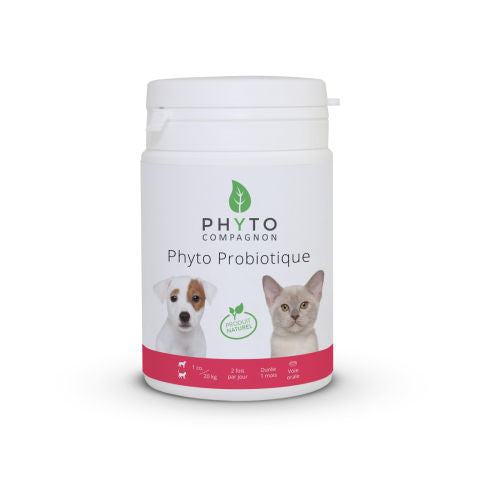 Phyto Probiotique de Phyto Compagnon