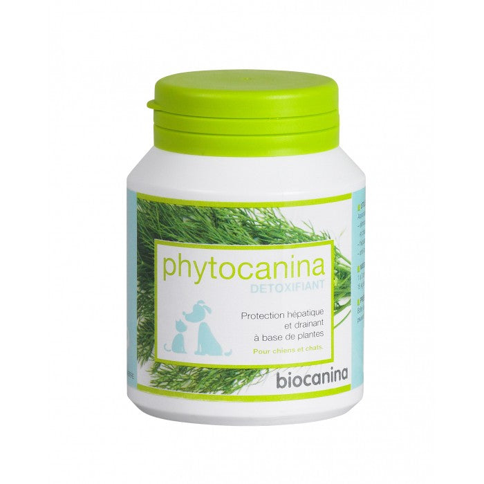 Phytocanina détoxifiant